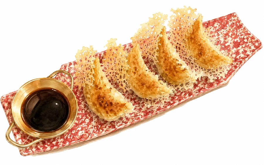 Gyoza di carne